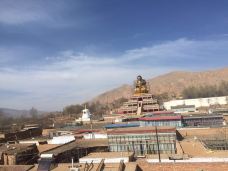 吾屯下寺-同仁-_CFT01****0827997