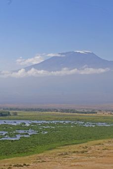 安波塞利国家公园-Amboseli-东西南北游