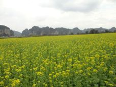 上林霞客桃源壮乡旅游度假区-上林-YoYo_8W3W7W6N