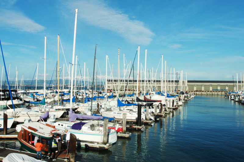 邮轮旅游线路_邮轮航线_游轮航线_北美洲航线_内河3号码头【携程邮轮