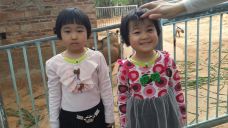 茂名森林公园-茂名-离弱愚