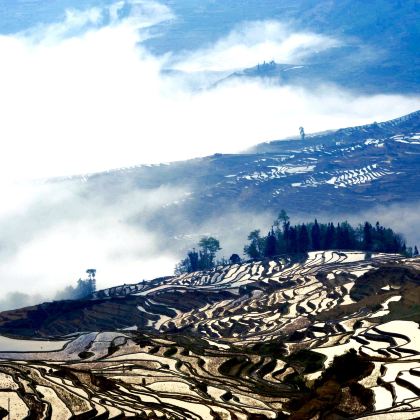 广西百色+云南罗平+贵州兴义+峰林布依景区+建水古城+元阳哈尼梯田+碧色寨风景区+宫保府景区+石门森林公园+红河弥勒6日5晚跟团游