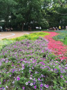 万寿公园-北京-都市贝贝