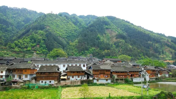 四寨村