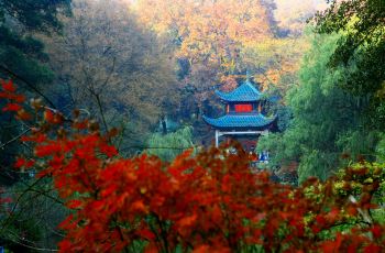 岳麓山图片高清