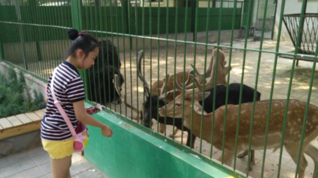 Beijing Zoo