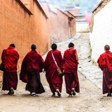 若尔盖大草原+黄河九曲第一湾+若尔盖花湖生态旅游区+九寨沟风景区+王朗国家级自然保护区6日5晚私家团