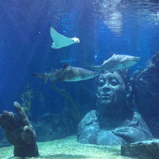 Sea Life Bangkok Ocean World
