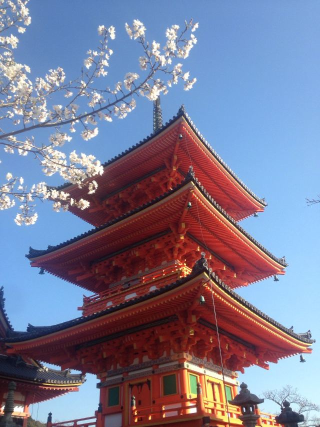 等待最好的時光去看你-櫻花季日本之旅