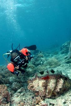 锡帕丹岛-斗湖-尊敬的会员