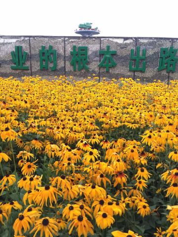 北大荒农机博览园