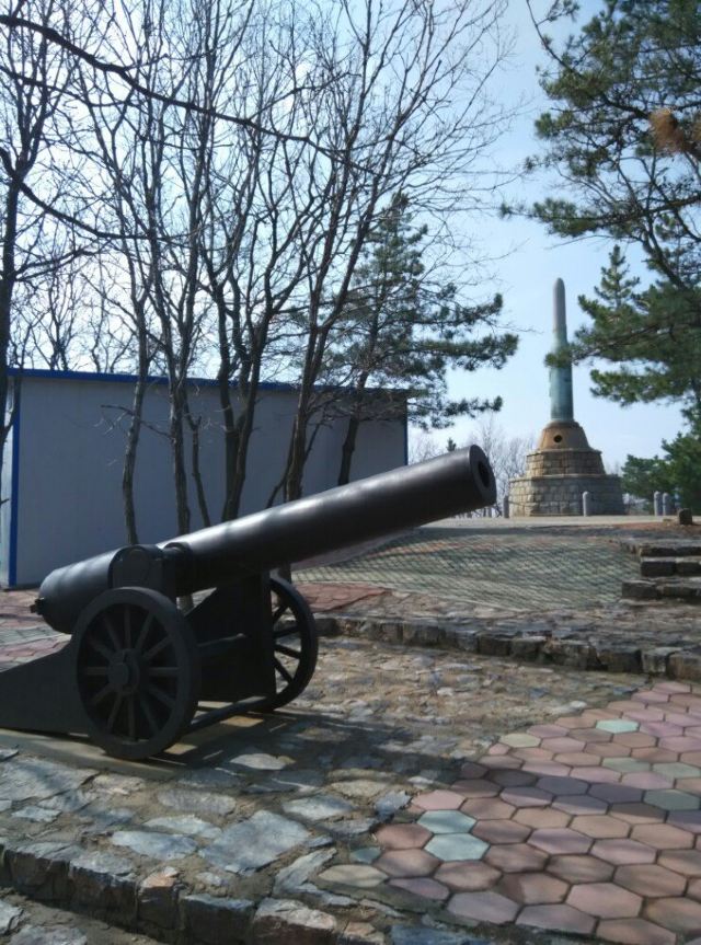 203고지
