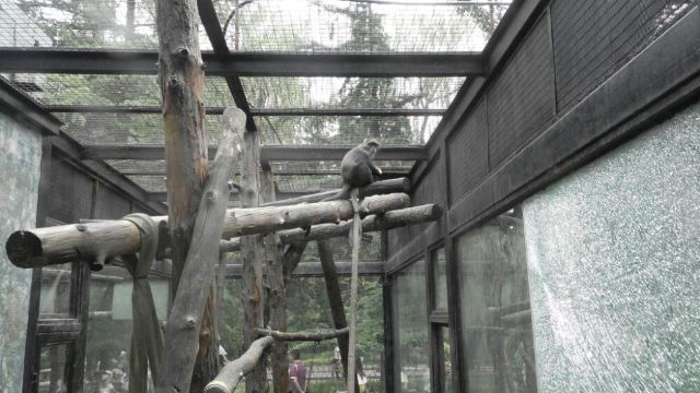 Beijing Zoo
