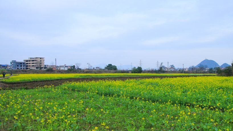 Gallery 2