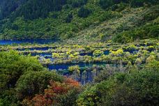 树正群海-九寨沟-尊敬的会员