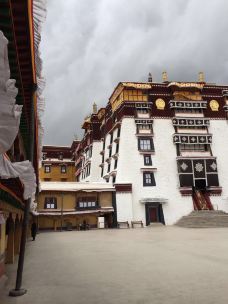 布达拉宫白宫-拉萨-蔷薇