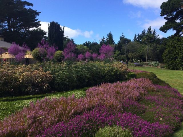 Larnach Castle