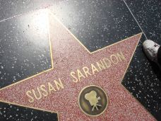 好莱坞星光大道-洛杉矶-尊敬的会员