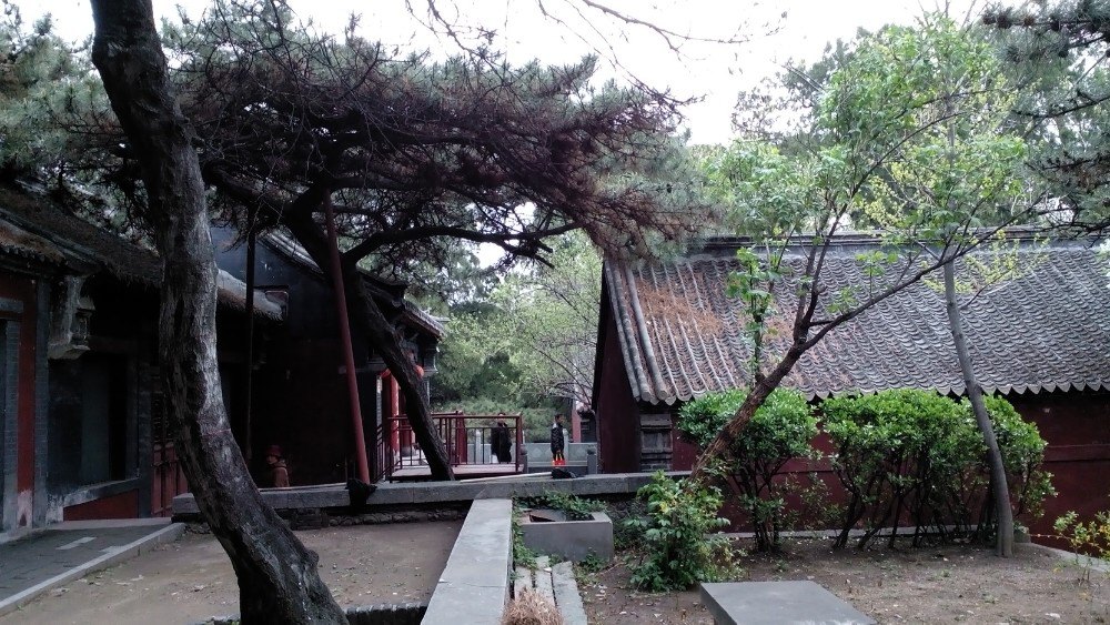 王母池