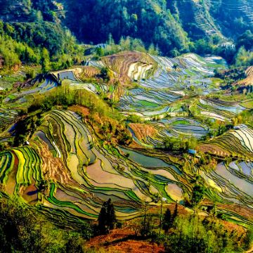 昆明+罗平+弥勒+元阳6日自由行