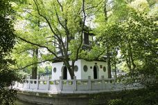 汇龙潭公园-上海-尊敬的会员