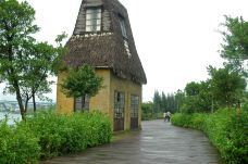 五缘湾湿地公园-厦门-doris圈圈