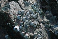 象山石浦檀头山岛-象山-doris圈圈