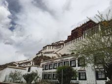 布达拉宫白宫-拉萨-蔷薇