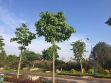 九龙峪-青州-珊妮