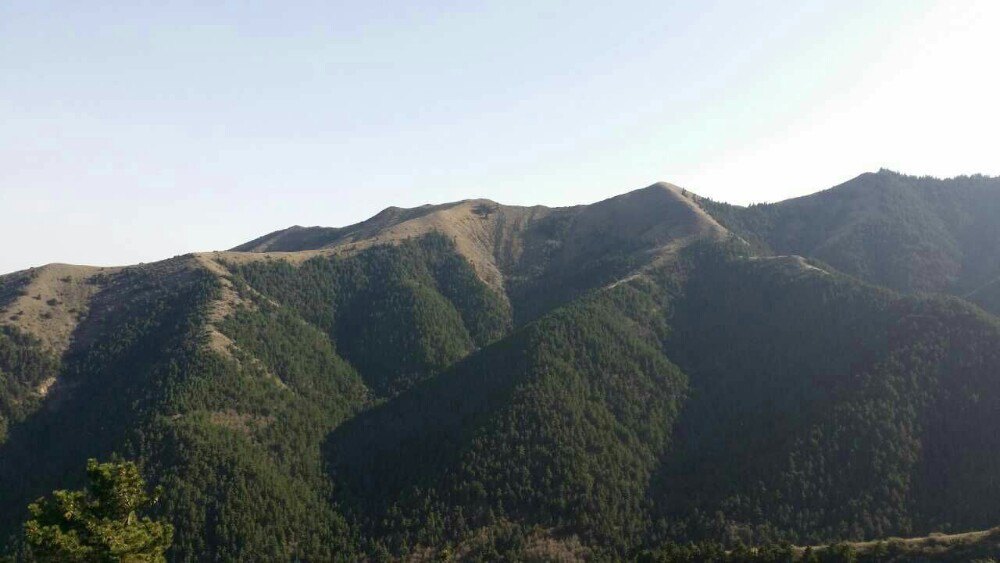 明王陵