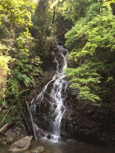 丫山风景区-大余-m12****342