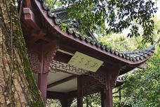 孤山-杭州-尊敬的会员