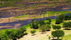 乌兰布统草原-克什克腾旗-走走-74511940