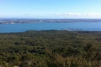 Rangitoto Island