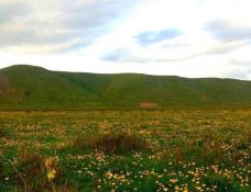 天堂寺-天祝-YoYo_0Z8Y3W8A