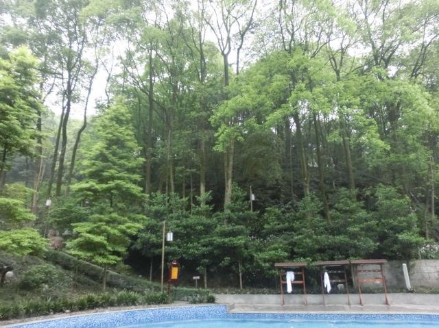 Emei Mountain Guanling Forest Hot Spring