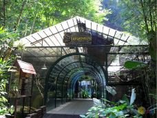 Ulu Kinta-AIian