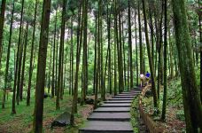 大龙湫景区-乐清-克克克里斯