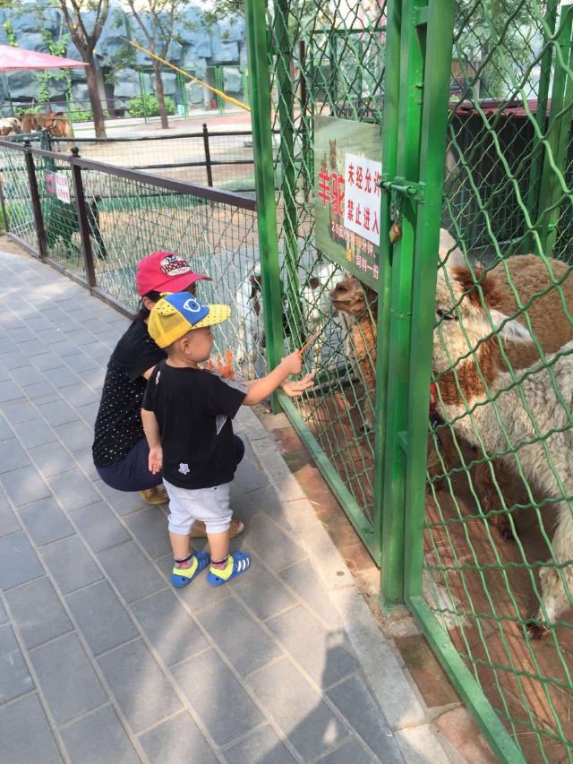 Chaoyang Park Happy Island Family Animal Park