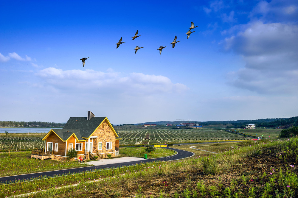 亲近自然 巴布洛一日游