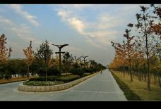 沙澧河风景区-漯河-我的世界你不懂-