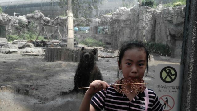 Beijing Zoo