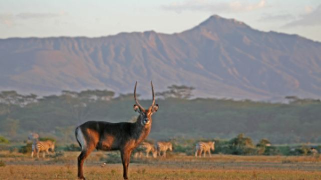 东非大裂谷观景点