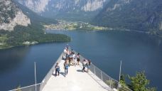 哈尔施塔特湖-哈尔施塔特-爱吃的鱼