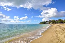 教会湾-奥克兰-尊敬的会员