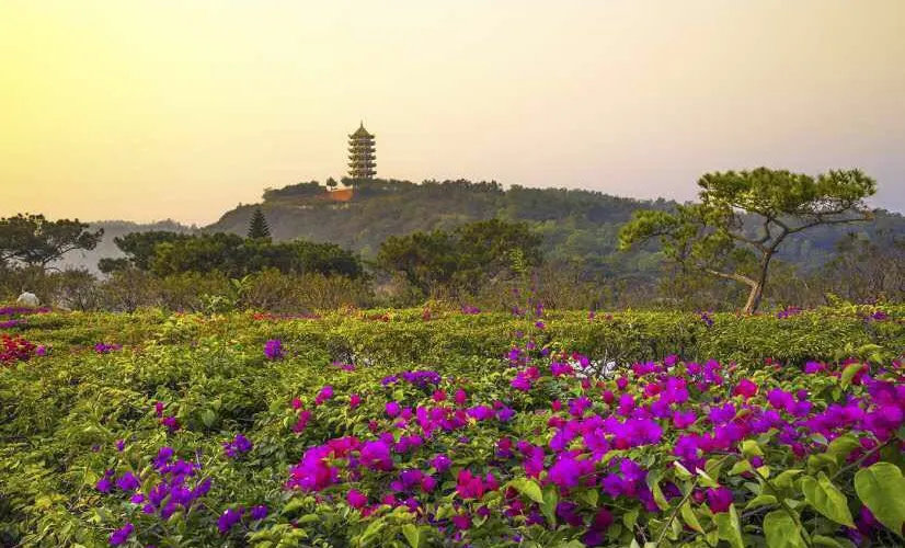 永安旅遊