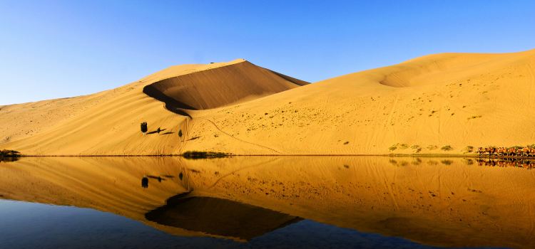 Badain Jaran Desert Travel Guidebook Must Visit Attractions In
