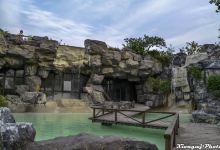 吴淞炮台湾湿地森林公园景点图片