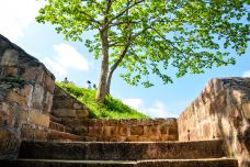 阿努拉德普勒-阿努拉德普勒-尊敬的会员