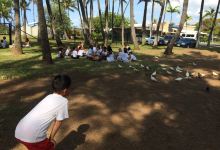 威基基水族馆景点图片